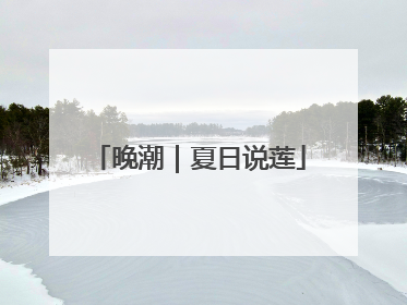 晚潮｜夏日说莲